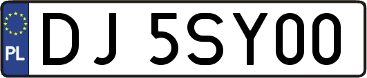 DJ5SY00
