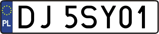DJ5SY01