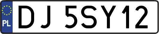 DJ5SY12