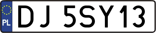DJ5SY13