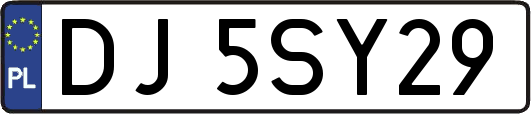 DJ5SY29