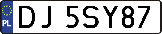 DJ5SY87