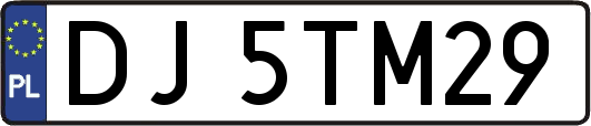 DJ5TM29
