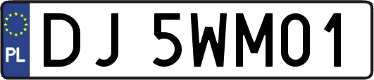 DJ5WM01