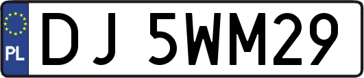 DJ5WM29