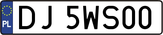 DJ5WS00
