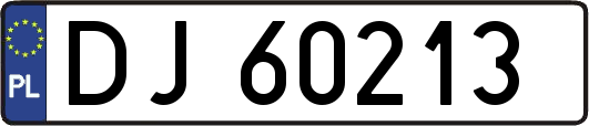DJ60213