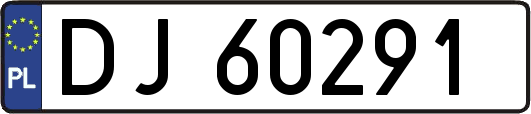DJ60291