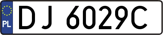 DJ6029C