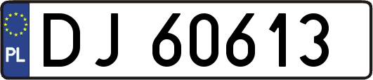 DJ60613