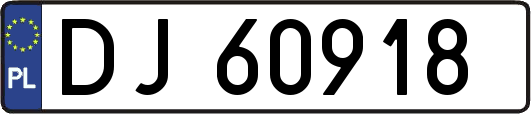 DJ60918