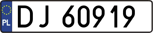 DJ60919