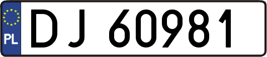 DJ60981