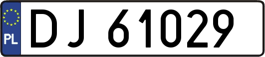 DJ61029