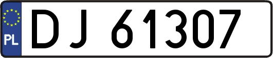 DJ61307