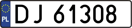 DJ61308