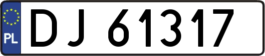 DJ61317
