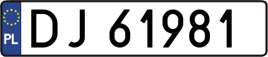 DJ61981
