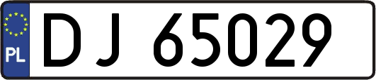 DJ65029