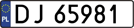 DJ65981