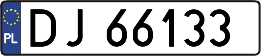 DJ66133