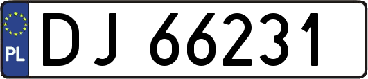 DJ66231