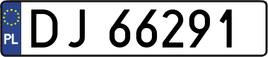 DJ66291