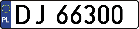 DJ66300