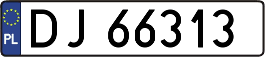 DJ66313