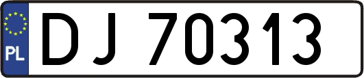 DJ70313