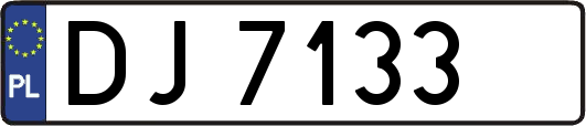 DJ7133