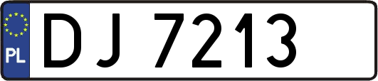 DJ7213