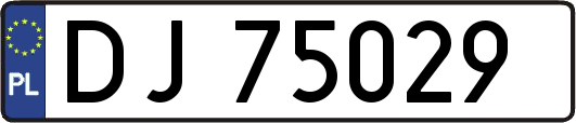 DJ75029