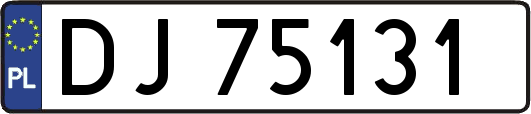 DJ75131