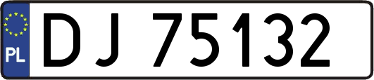DJ75132