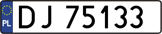 DJ75133