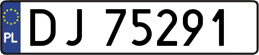 DJ75291