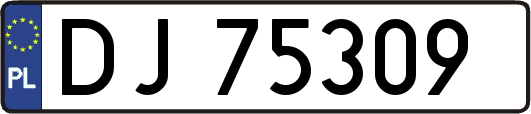DJ75309