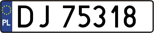 DJ75318