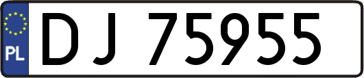 DJ75955