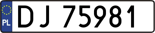 DJ75981