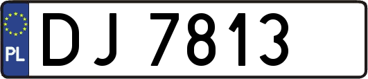 DJ7813