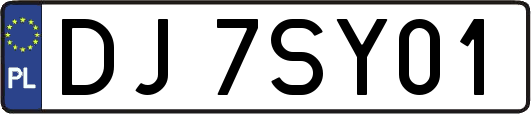 DJ7SY01