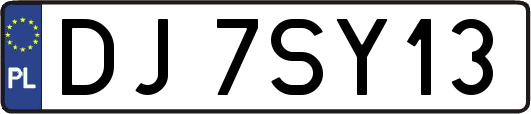 DJ7SY13