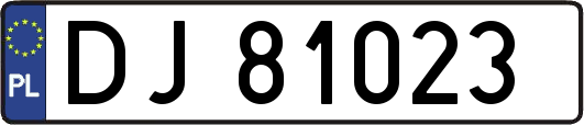 DJ81023