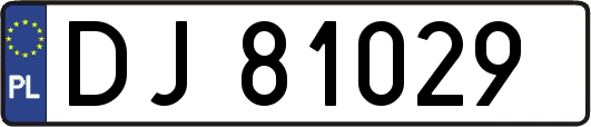 DJ81029
