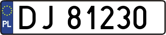 DJ81230