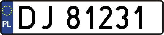DJ81231