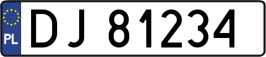 DJ81234