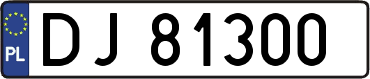 DJ81300